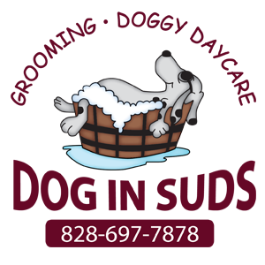 Dog In Suds Pet Grooming and Doggy Daycare