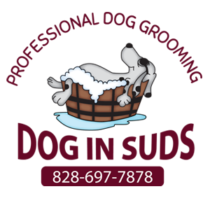 Dog In Suds Pet Grooming and Doggy Daycare